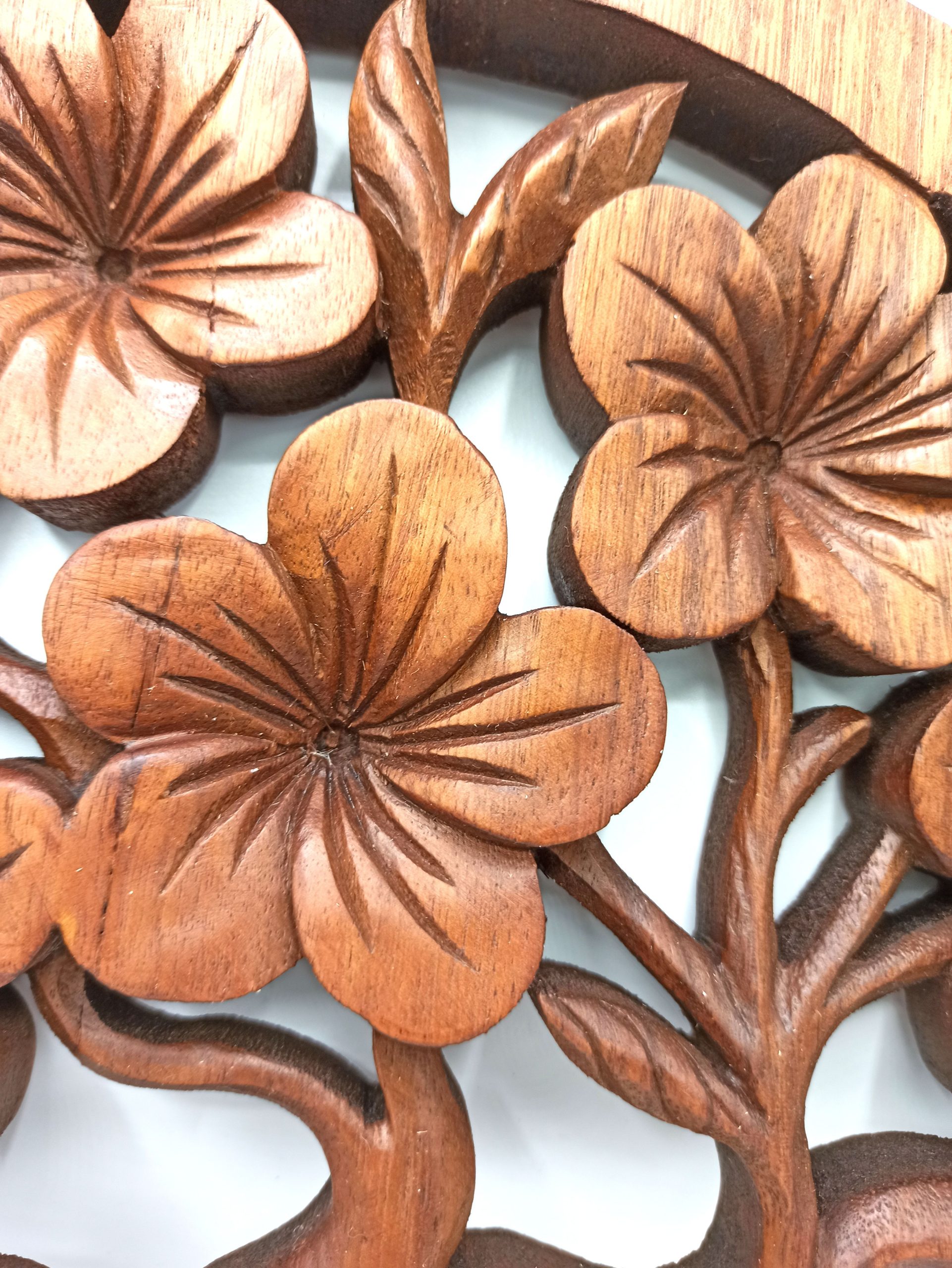 Geschnitztes Wandpaneel aus Suarholz – Lebensbaum Frangipani, 40 cm