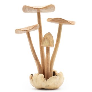 Holzschnitzerei – Set mit vier großen Pilzen